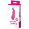 VeDO Crazzy Bunny Recharg Mini Vibe Pink