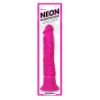PD Neon Silicone Wall Banger 7.5in Pink