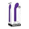 Evolved Sweet Spot G-Spot Vibrator Purpl